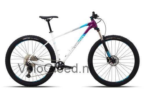 Polygon Xtrada 7 beoordelingen en specificaties